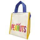 大西賢製販 PEANUTS ランチバッグスクエア LUNCH SERIES SCOOTER M SLK-2505(3)