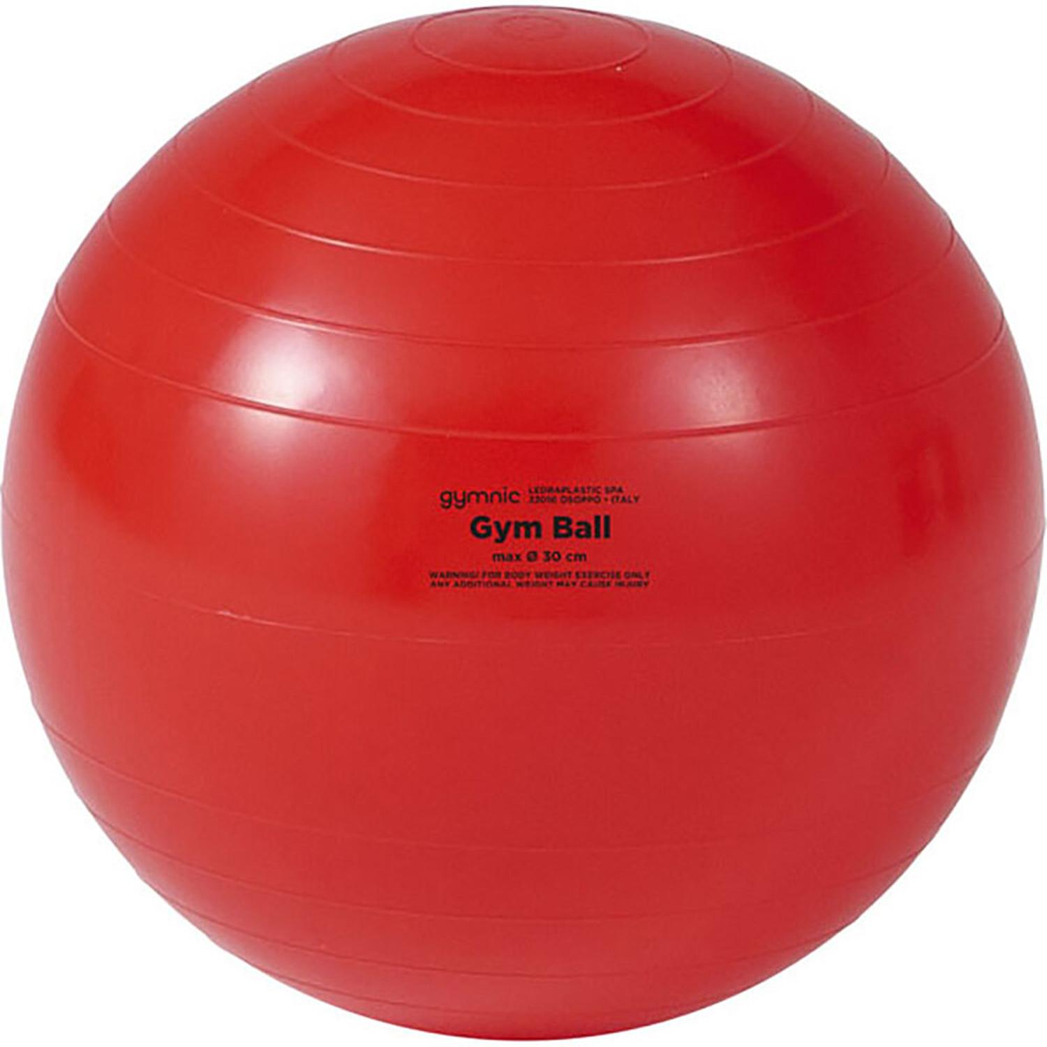 DANNO(ダンノ) ギムニク30 トレーニング機器 パーソナルトレーニング用品 その他パーソナルトレーニン..