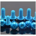 アルミボタンヘックスビス M3×12mm(6本入)(3)