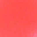 ポスターカラー11ml #205