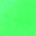 ポスターカラー11ml #206