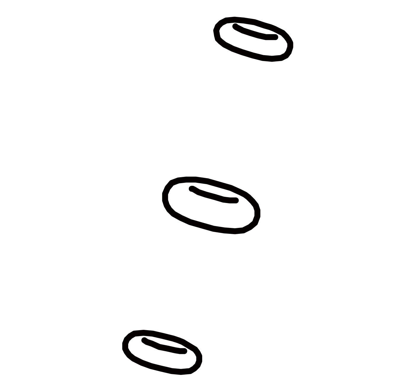 パークツール(Parktool) シールキット 適応INF-1,INF-2#1595K