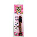 アーガイルキャット レッド