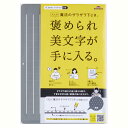 レイメイ藤井 下敷き 大人の魔法のザラザラ下じき B6サイズ グレー U1258N(3)