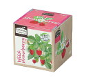 エコ栽培キット Re:Green ワイルドストロベリー