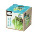 エコ栽培キット Re:Green サニーレタス