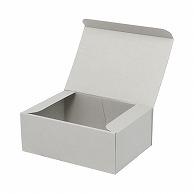 ʥ륰졼BOX 260180100 :10