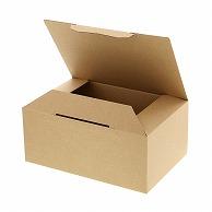 HEIKO 段ボール テープレス式 B5用-120 無地 20枚入 002123101 1ケース(20枚入)