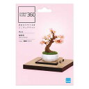 カワダ(Kawada)ペーパーナノ360 盆栽 桜 PS-12 0.7×12×17cm 12才以上 ペーパークラフト クラフトキット ミニチュアキット インテリア PS-12