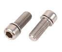 RIDEA Stem Cap Bolt(Birdy MK2) STBRE-B チタン 147-05127