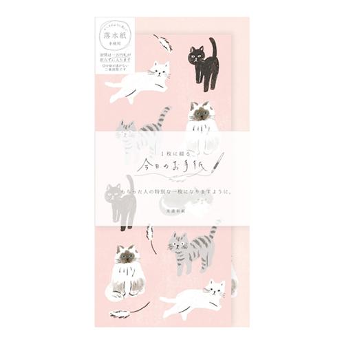 今日のお手紙 /ねこ