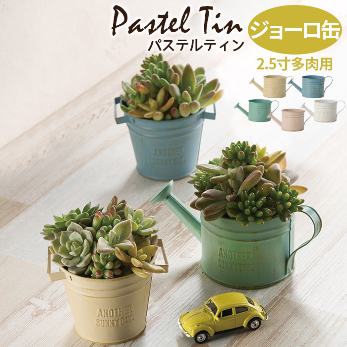 楽天市場】ブリキ 鉢(カラーブルー)(花・ガーデン・DIY)の通販 楽天市場】ブリキ 鉢(カラーブルー)(花・ガーデン・DIY)の通販