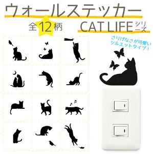 륹ƥå CAT LIFE ڥ᡼б4Ĥޤǡ