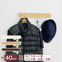 壁面収納 おしゃれ 石膏ボード壁対応 なげし 長押レール 水まわり スリム長押 400mm 40cm