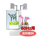 送料無料 「brio ブリオ 35 ホワイト 60Hz仕様 BRIO35-WW」 ブリオ brio 水槽 フルセット 西日本60Hz 家庭用 アクアポニックス brio35 植物 魚 | ペット用品 FW