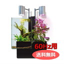 送料無料 「brio ブリオ 35 ブラック 60Hz仕様 BRIO35-BW」 ブリオ brio 水槽 フルセット 西日本60Hz 家庭用 アクアポニックス brio35 植物 魚 | ペット用品 FW