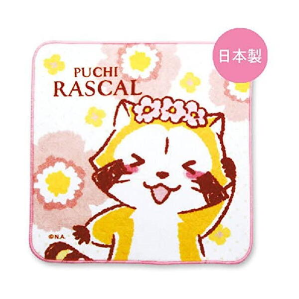 XJ ~j^IiԂނjRA-TA024 4996740559204 Rascal the Raccoon [ yCΉz