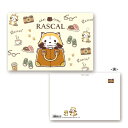 あらいぐま ラスカル ポストカード（ラスカル カフェデザイン横）RA-PT041 4996740596322 Rascal the Raccoon メール便 【送料無料ライン対応】