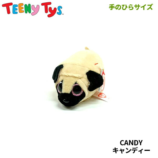 yTYz U^ʂ yTEENy Tysz CANDY LfB[ eB[j[^CY  pO ̂ЂTCYʂ