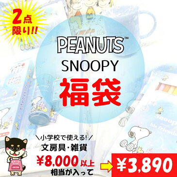 スヌーピー 福袋 文具・雑貨が8,000円以上入ったお得なセット！！！ SNOOPY 文房具 雑貨 グッズ キャラクター