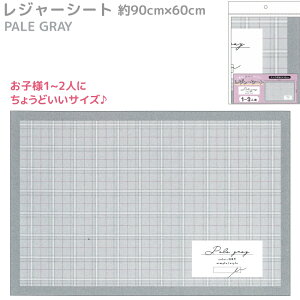 【子供用・一人用】レジャーシート PALE GRAY 約 90×60cm 株式会社カミオジャパン ●メール便OK グレー チェック