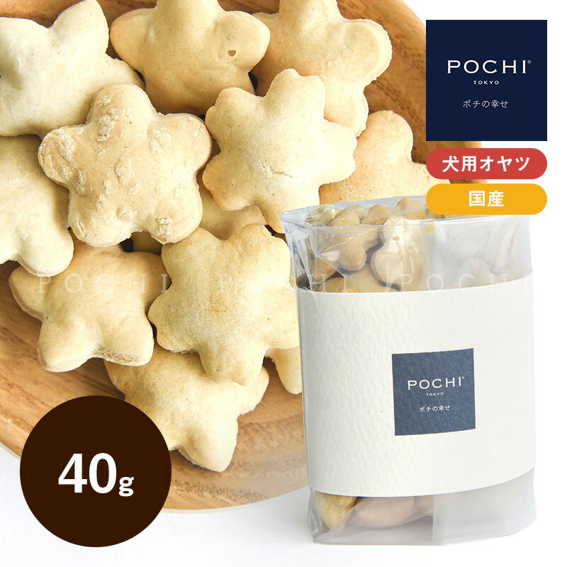 【POCHI公式】 POCHI ローカロリークラッカー 昆布 40g エコパッケージ ポチ 犬 おやつ 低カロリー 国産