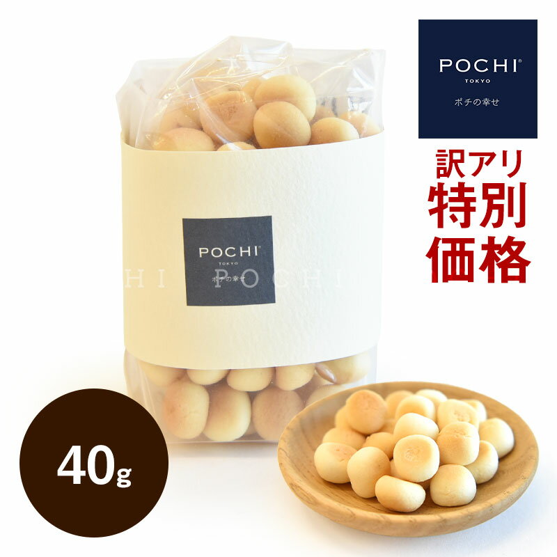 《特別価格》POCHI 山羊ミルクボーロ 40g エコパッケージ ポチ 犬 おやつ シニア犬 国産