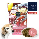 POCHI ザ・ドッグフード エイジングケア シニア ワイルドサーモン 1kg ポチ 犬 ドライフード 小粒 グレインフリー 低リン 低脂肪 魚肉 シニア犬