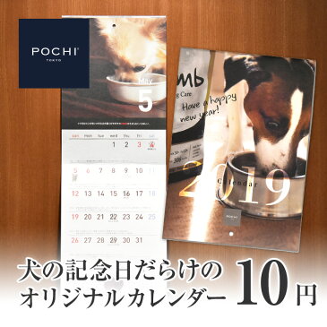 POCHI オリジナルカレンダー2019