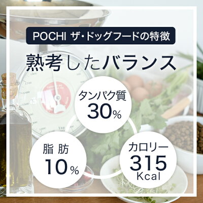 POCHIザ・ドッグフードワイルドサーモン