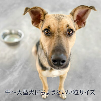 POCHIザ・ドッグフードミディアムラージ粒3種のポルトリー-7kg