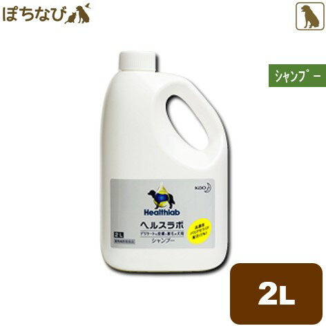 花王ヘルスラボシャンプー 2L