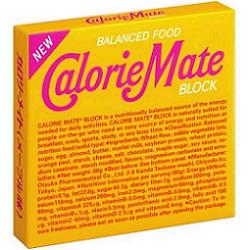大塚製薬4本入カロリーメイトブロックメープル味10箱入