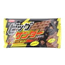 有楽製菓(ユーラク)ビッグサンダー20枚入 有楽製菓(ユーラク)ビッグサンダー20枚入