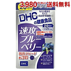 【訳あり 期限間近2021年10月】あす楽 DHC20日分 速攻ブルーベリー1袋(サプリメント)