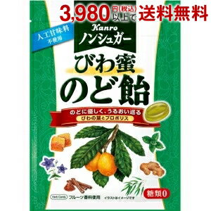 カンロ 80gノンシュガーびわ蜜のど飴 6入