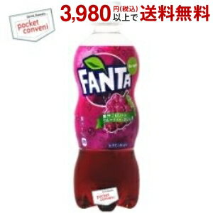 【期間限定特価】コカ・コーラ ファンタ グレープ 500mlペットボトル 24本入 (コカコーラ Fanta)