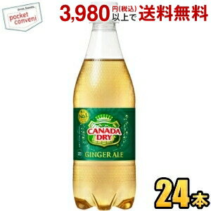 コカ・コーラ カナダドライ ジンジャーエール 500mlペットボトル 24本入 (コカコーラ)