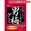 男梅シリーズ。梅干しの濃厚な味が楽しめます★ 商品詳細 メーカー ノーベル 原材料 砂糖、水飴、ゼラチン、食塩、デキストリン、梅干しパウダー、乳清タンパク、植物油脂、梅酢、梅肉、赤しそ、たん白加水分解物、粉末オブラート、加工でん粉、酸味料、グリセリン、塩化カリウム、調味料（アミノ酸等）、乳化剤、香辛料抽出物、着色料（紅麹、野菜色素）、甘味料（ステビア、アスパルテーム・L-フェニルアラニン化合物）、増粘剤（アラビアガム）、光沢剤、（原材料の一部に乳成分、大豆を含む） 栄養成分 (1袋38gあたり)エネルギー121.7kcal 賞味期限 （メーカー製造日より）10カ月 備考 Powered by EC-UP