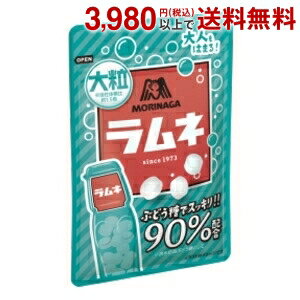 仕事中や移動中に素早くリフレッシュしたいとき、ポイポイ手軽に食べられる。 大人も子どもも楽しめる大粒のラムネが登場。ぶどう糖90％配合です。 商品詳細 メーカー 森永 品名 大粒ラムネ 原材料 栄養成分 (1袋41g当り)エネルギーkcal 賞味期限 製造後12ヶ月 Powered by EC-UP