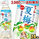 数量限定予約受付中★5/14発売 チョーヤ CHOYA 夏梅 限定出荷 500gペットボトル 24本入 梅ジュース 紀州産南高梅使用 なつうめ