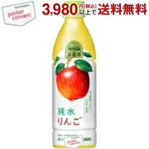 キリン 小岩井 純水りんご 430mlペットボトル 24本入