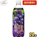 最大1000円クーポン配布中★【送料無料】アサヒ 三ツ矢 特濃グレープスカッシュ 500mlペットボトル 24本入 三ツ矢サイダー ポリフェノール入り ※北海道...