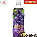 クーポン配布中★【送料無料】アサヒ 三ツ矢 特濃グレープスカッシュ 500mlペットボトル 48本(24本×2ケース) 三ツ矢サイダー ポリフェノール入り ※北海道800円・東北400円の別途送料加算(4)