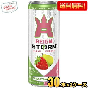 【送料無料】アサヒ レインストーム グァバストロベリー 250ml缶 60本(30本×2ケース) 炭酸飲料 エナジ..