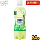 数量限定訳あり特価【送料無料】アサヒ カルピスソーダ 国産メロンのクリームソーダ 500mlペットボトル 24本入 メロンクリームソーダ 【賞味期限2025年8...