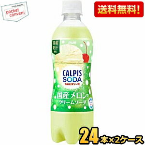 数量限定訳あり特価【送料無料】アサヒ カルピスソーダ 国産メロンのクリームソーダ 500mlペットボトル 48本(24本×2ケース) メロンクリームソーダ 【賞味期限2025年8月31日】 ※北海道800円・東北400円の別途送料加算 [39ショップ]のサムネイル