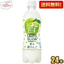 アサヒ カルピスソーダ 香る青りんご 500ml ペットボトル 24本入 炭酸飲料 リンゴ 果汁炭酸 soda