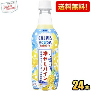 【訳あり 配送希望日指定不可 期限間近2025年1月31日】 【送料無料】アサヒ カルピスソーダ 冷やしパイン 450mlペットボトル 24本入 ※北海道800円・東北400円の別途送料加算 [39ショップ]のサムネイル