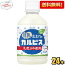 クーポン配布中★【送料無料】アサヒ 豆乳生まれのカルピス 280mlペットボトル 24本入 乳成分不使用 2504 ※北海道800円・東北400円の別途送料加算
